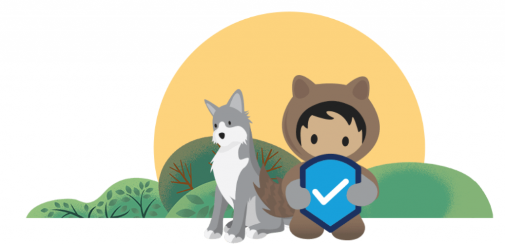 Salesforce Multi-Factor Authentication